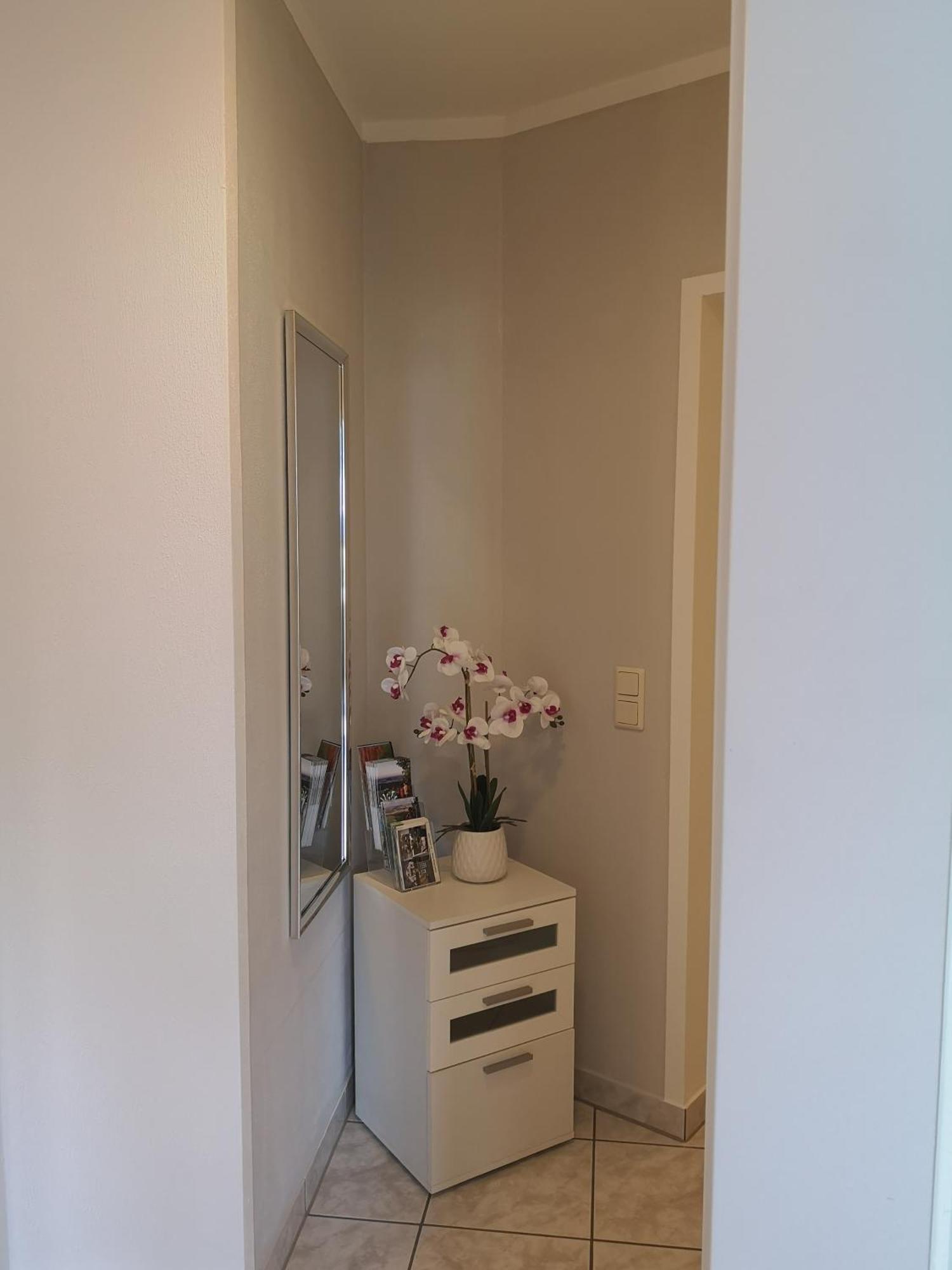 Ferienwohnung Am Park - Vulkanferien Plaidt Dış mekan fotoğraf