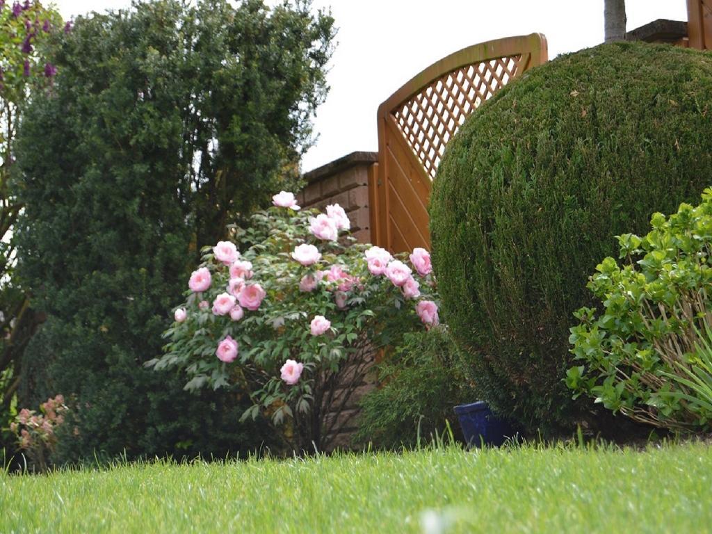 Ferienwohnung Am Park - Vulkanferien Plaidt Oda fotoğraf